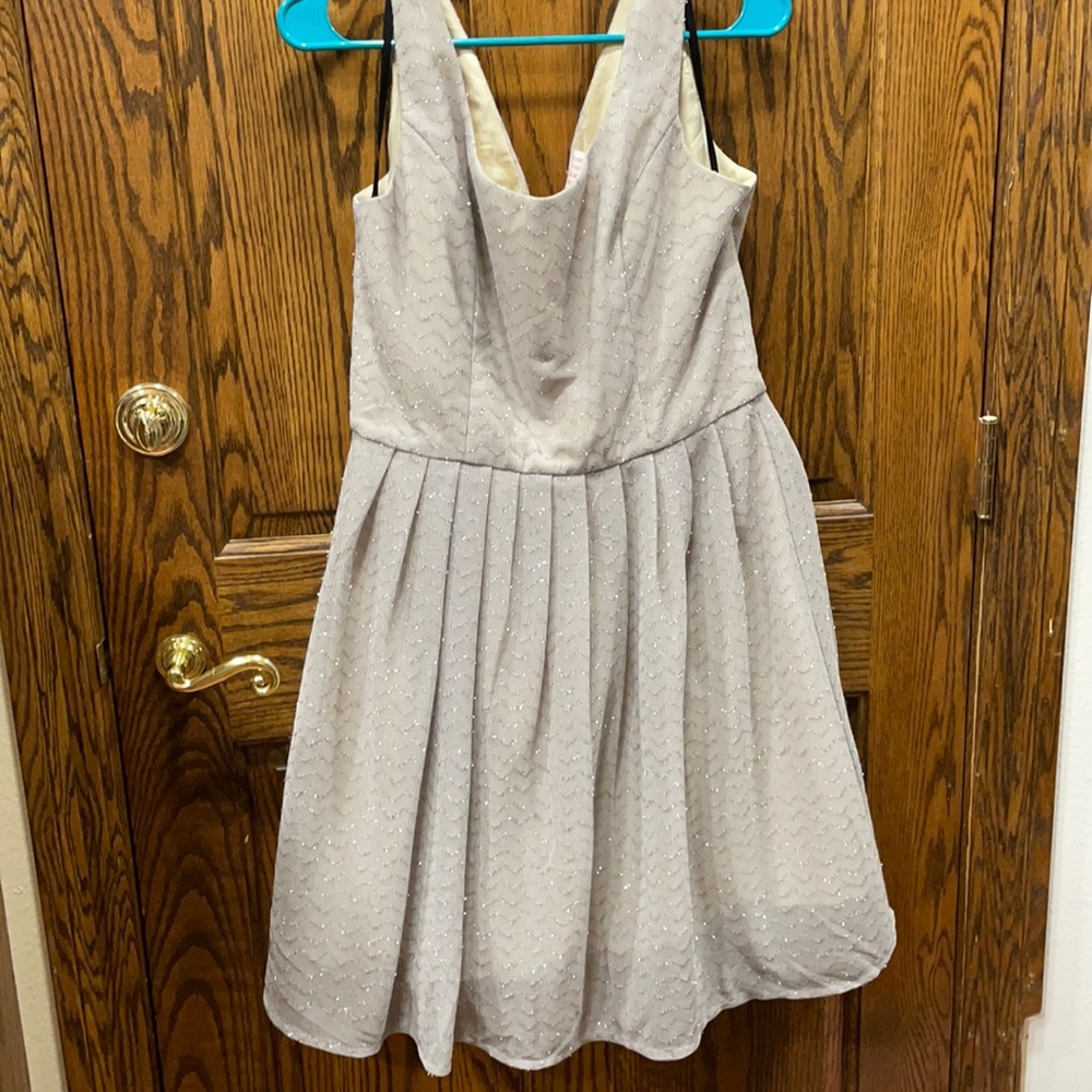 Daisy Shoppe Beige Silver Dress